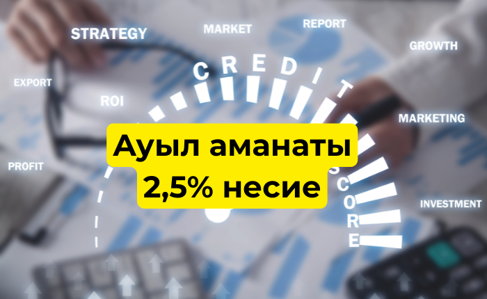 Ауыл аманаты 2,5% несие курсы